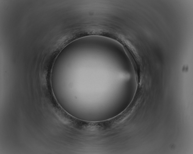 X0000091660209200708231314