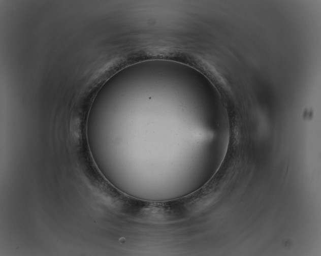 X0000091660211200708231313