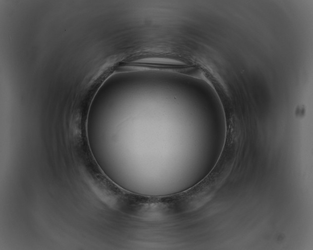 X0000091660212200708231313