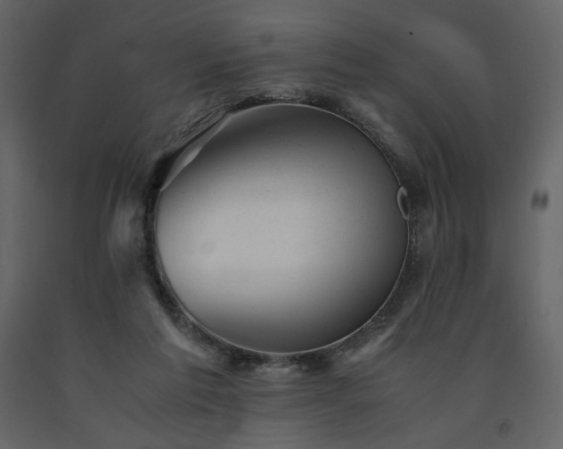 X0000091660213200708231313