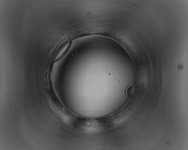 X0000091660214200708231313