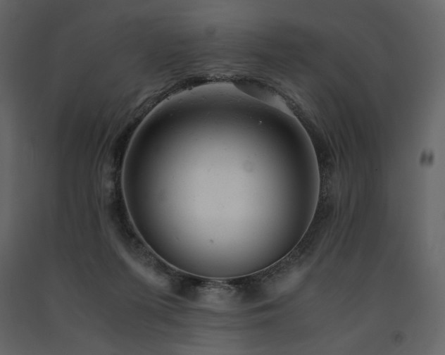 X0000091660215200708231313