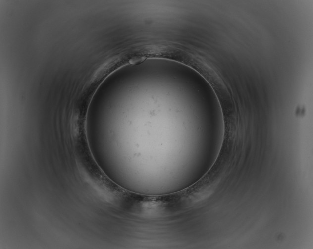 X0000091660216200708231313