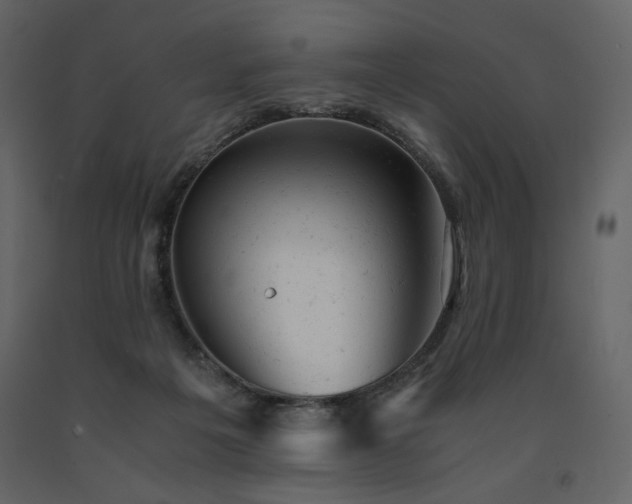 X0000091660217200708231313