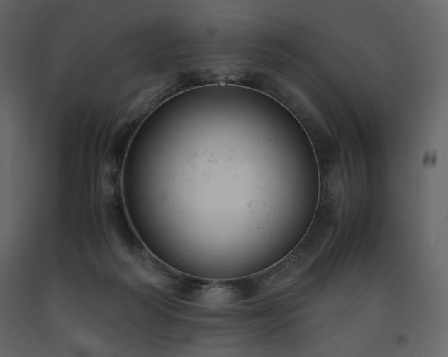 X0000091660218200708231313