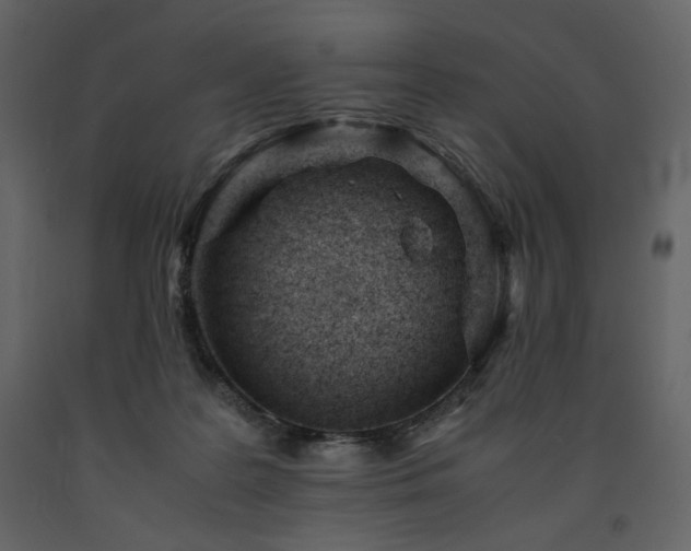 X0000091660219200708231313