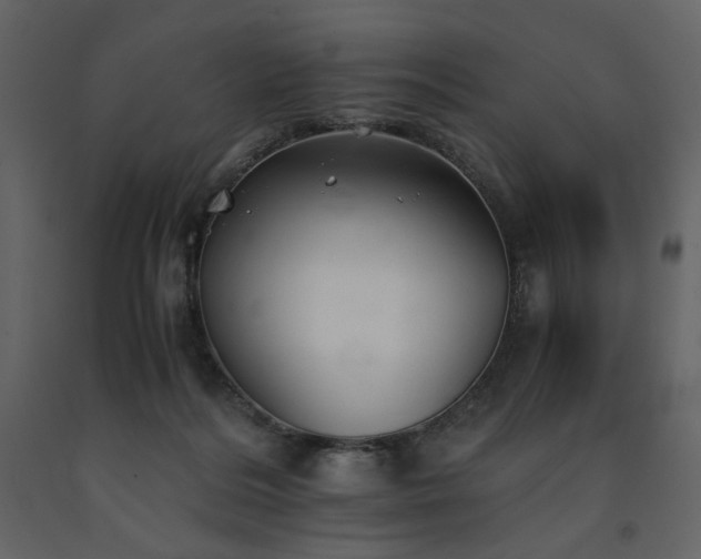 X0000091660220200708231313