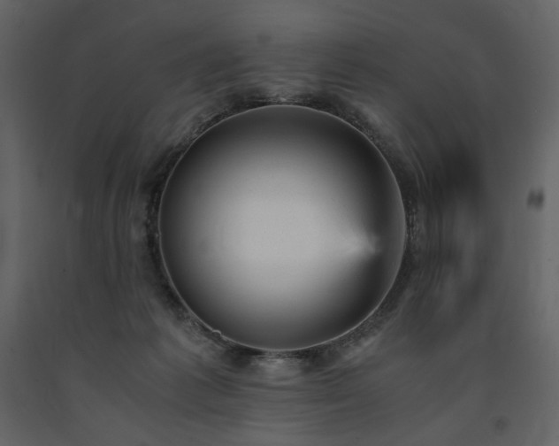 X0000091660221200708231313