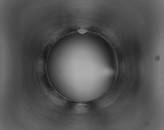 X0000091660222200708231313