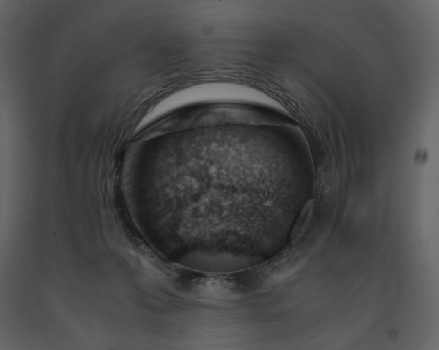 X0000091660223200708231313
