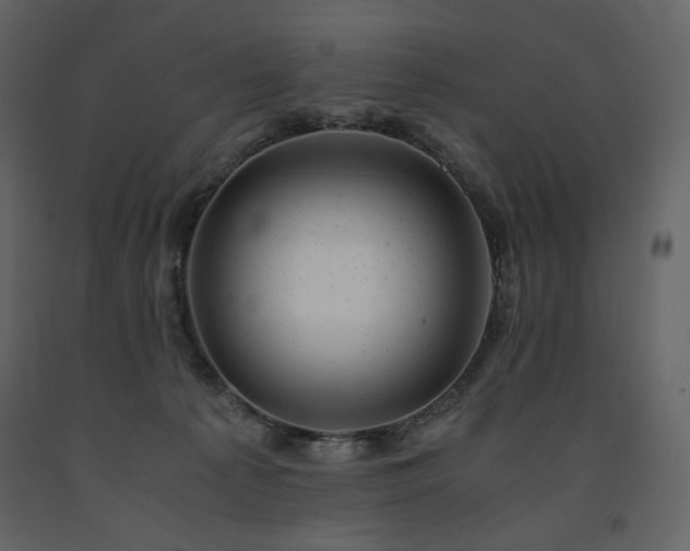 X0000091660225200708231313