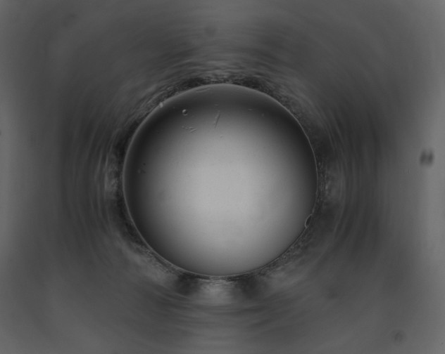 X0000091660226200708231313