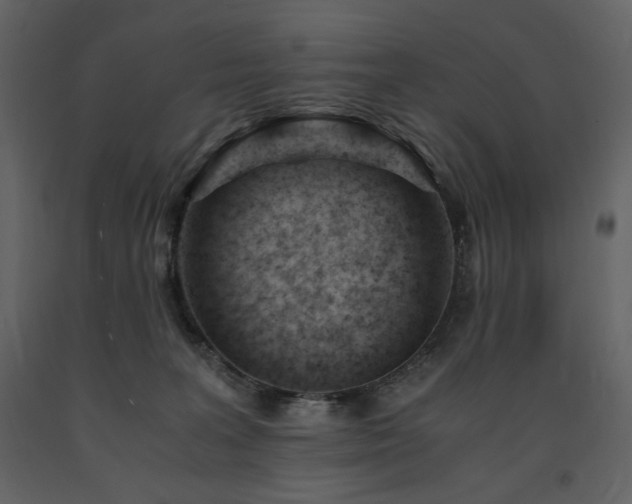 X0000091660227200708231313