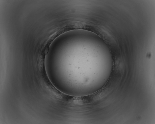X0000091660228200708231313