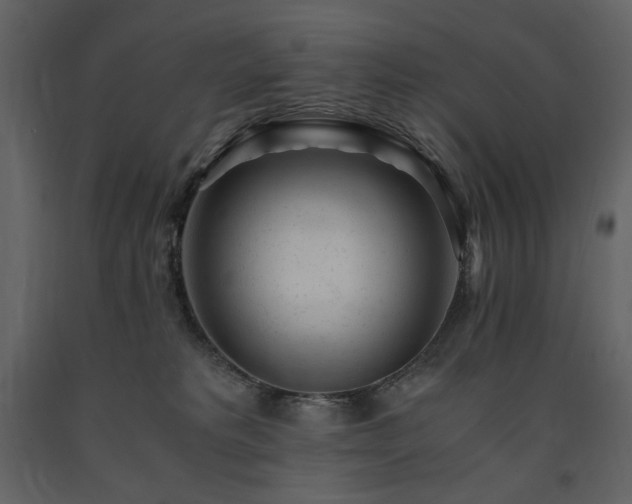 X0000091660229200708231313