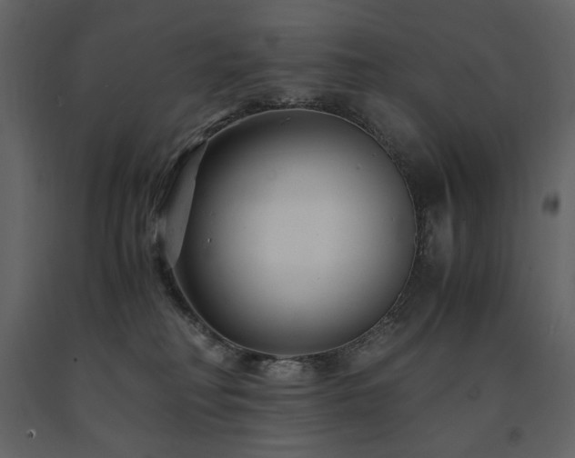 X0000091660230200708231313