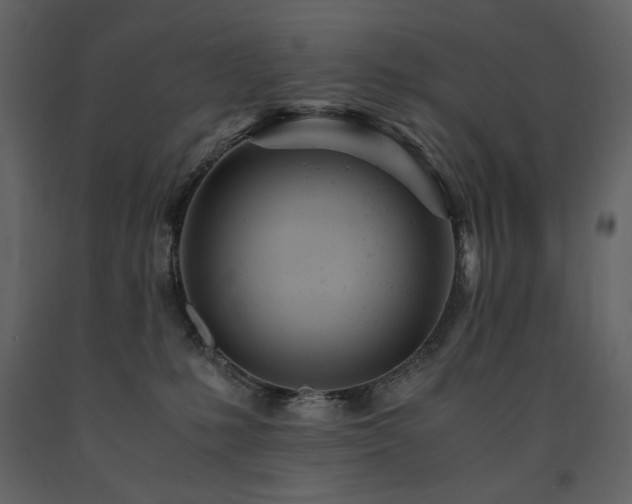 X0000091660231200708231313