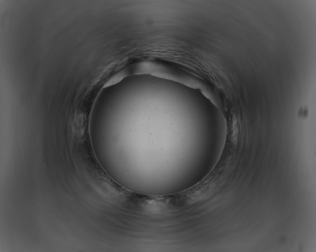 X0000091660232200708231313
