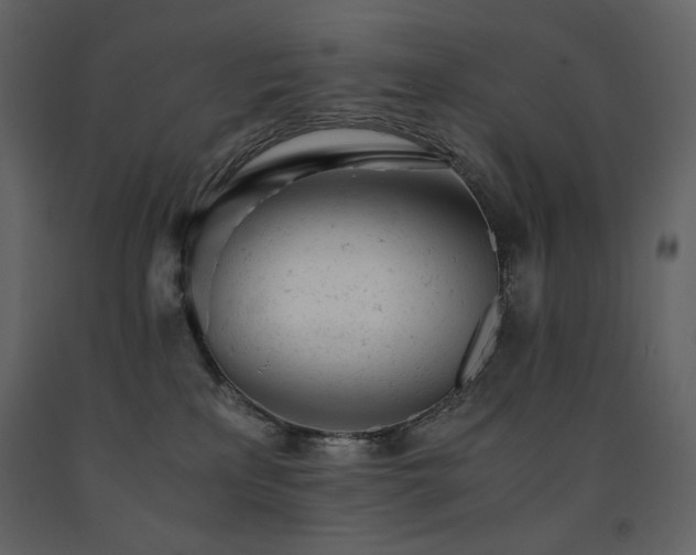 X0000091660233200708231313