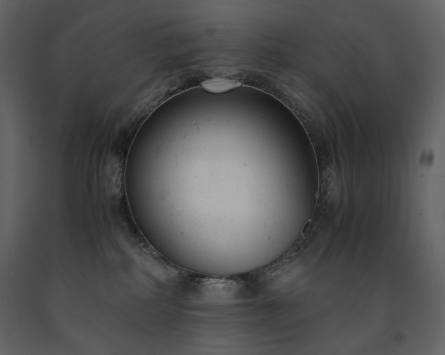 X0000091660234200708231313