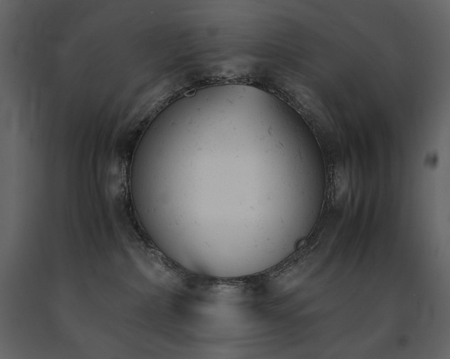 X0000091660236200708231313