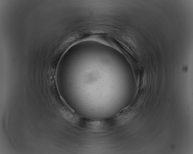 X0000091660237200708231313
