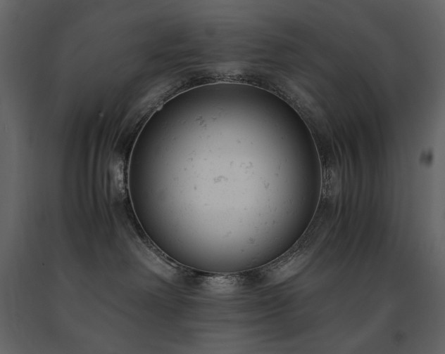 X0000091660238200708231313