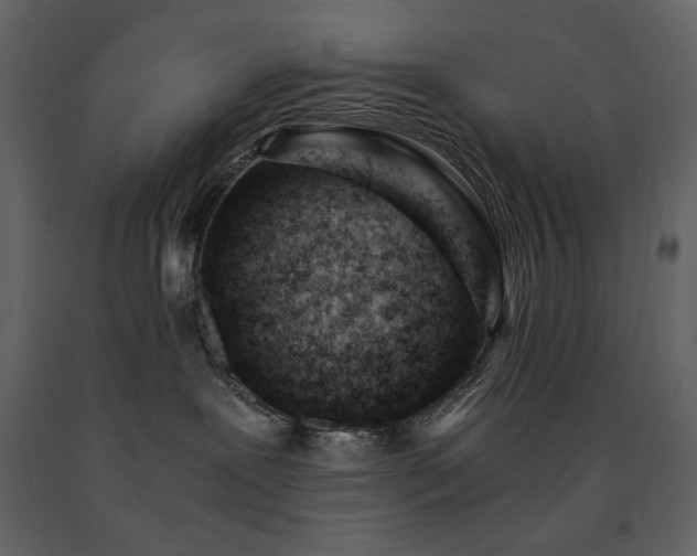 X0000091660239200708231313
