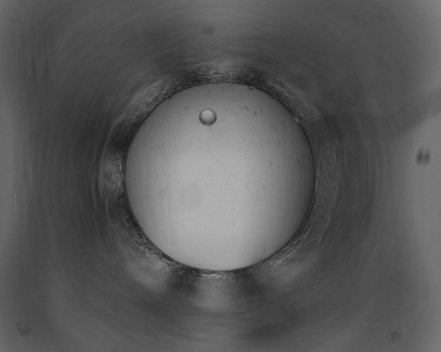 X0000091660240200708231313