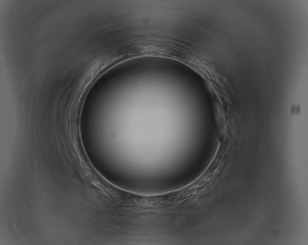 X0000091660241200708231312