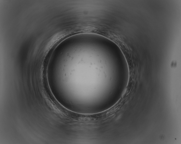 X0000091660242200708231312