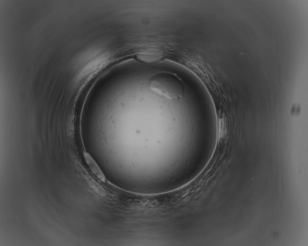 X0000091660243200708231312