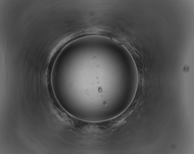 X0000091660244200708231312