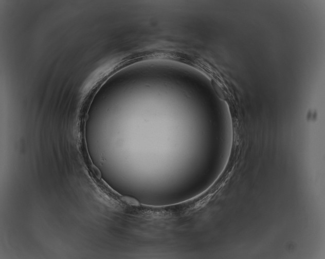 X0000091660245200708231312