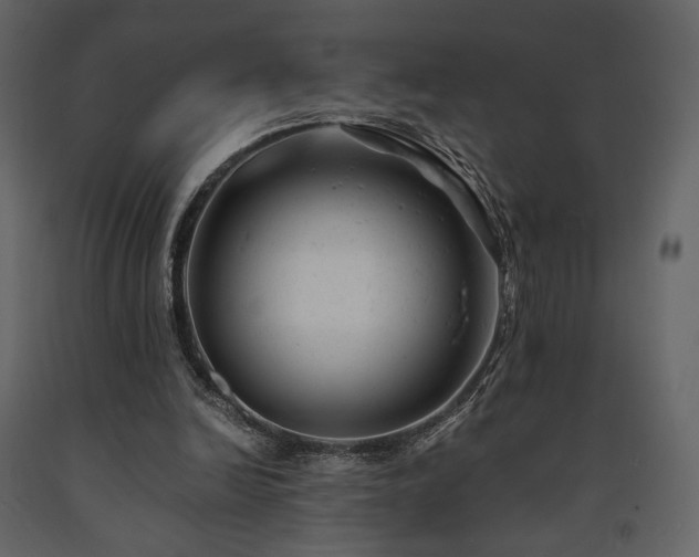 X0000091660246200708231312