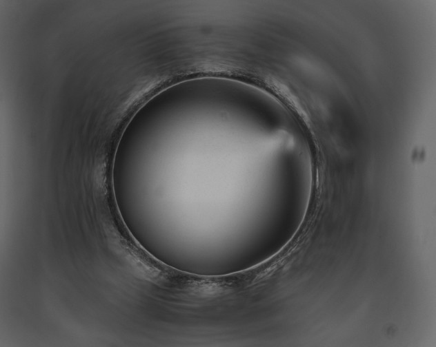 X0000091660249200708231313