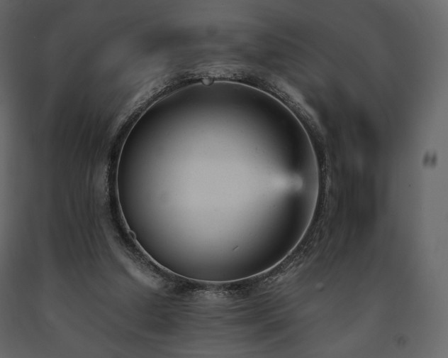 X0000091660250200708231313