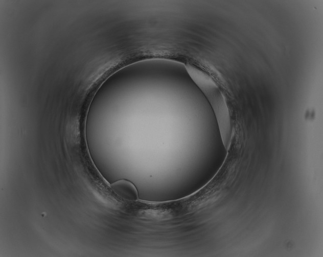 X0000091660251200708231313