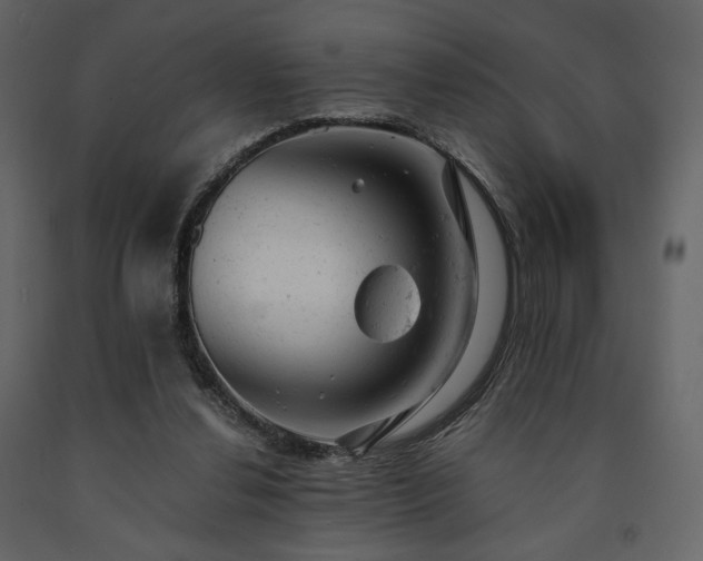 X0000091660252200708231313