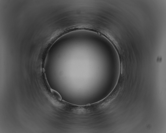 X0000091660253200708231313