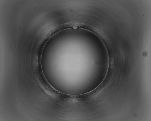 X0000091660254200708231313