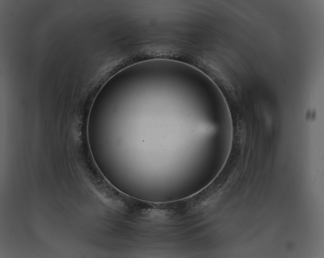 X0000091660255200708231313