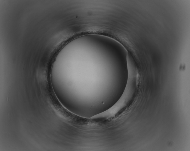 X0000091660256200708231313