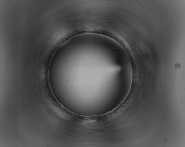 X0000091660257200708231313