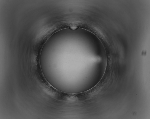 X0000091660258200708231313