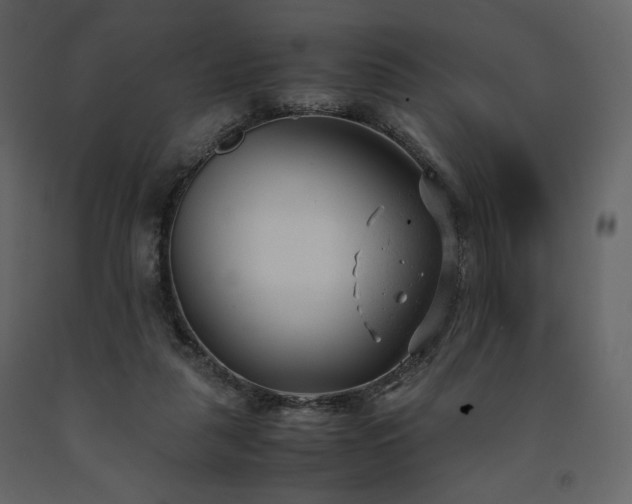 X0000091660259200708231313