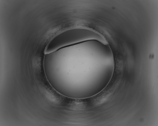 X0000091660260200708231313