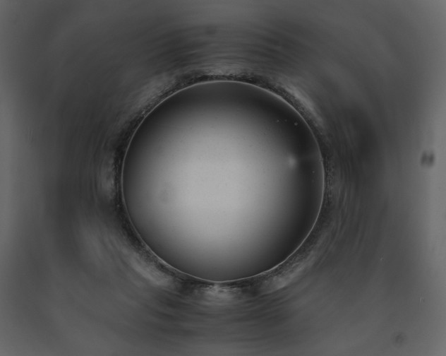 X0000091660261200708231313