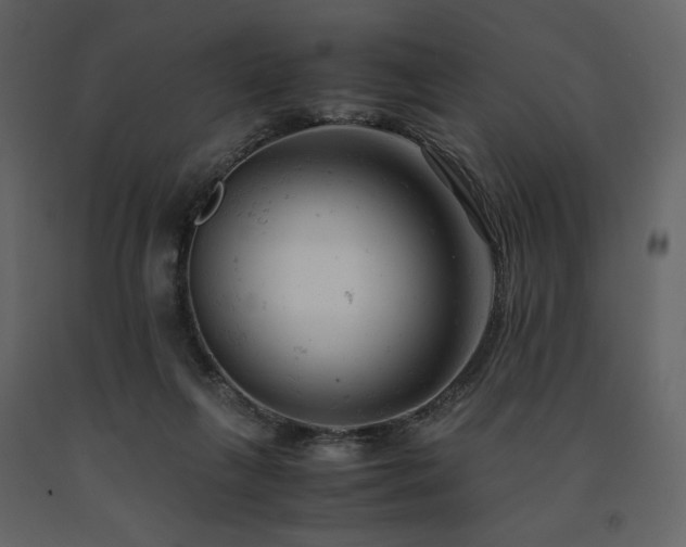 X0000091660263200708231313