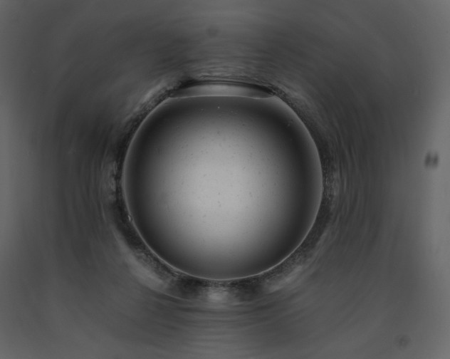 X0000091660264200708231313